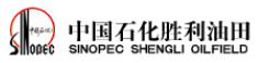 中国石油化工股份有限公司胜利油田分公司勘探开发研究院石油地质测试中心哥俩好新材料股份有限公司检测实验室