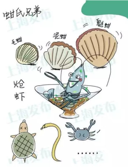 上海市禁止生产销售毛蚶、炝虾 季节性禁售醉虾醉蟹