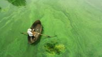 环境化学